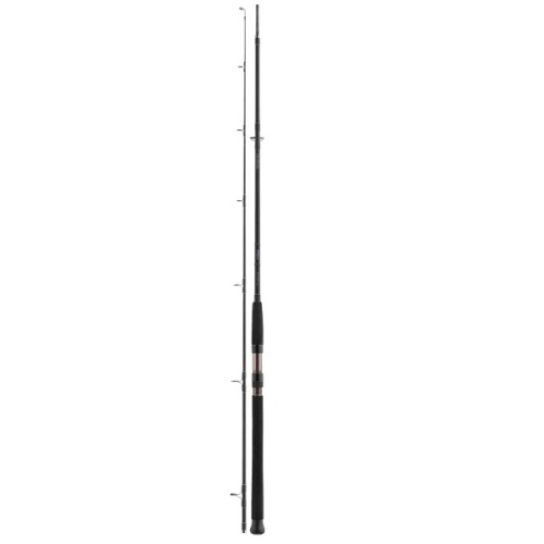 Силовой спиннинг Daiwa Exceler Catfish 2.40m 135 гр